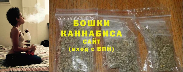 ГАЛЛЮЦИНОГЕННЫЕ ГРИБЫ Вяземский