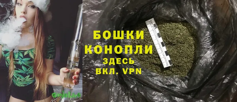 Каннабис SATIVA & INDICA  где купить наркоту  нарко площадка как зайти  Удомля 